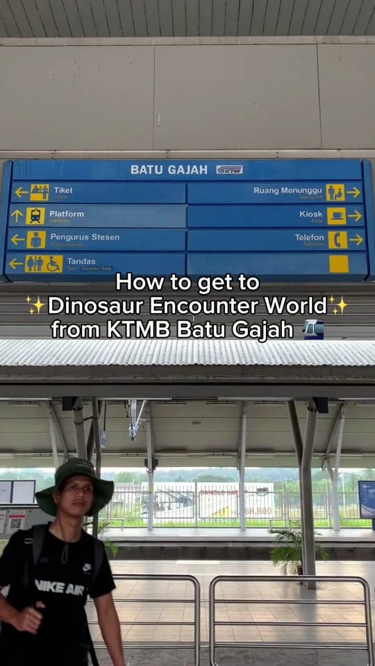 Post 8 by Dinosaur Encounter on TikTok (video)