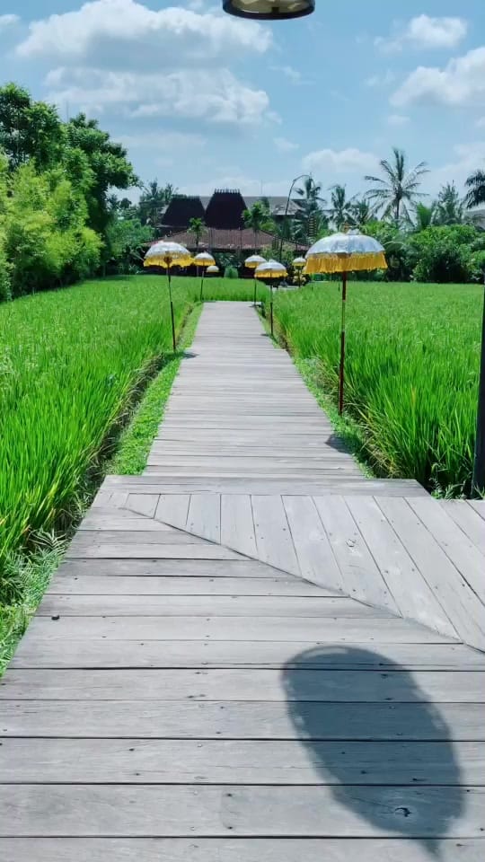 Post 2 by zacwatters on TikTok (video)