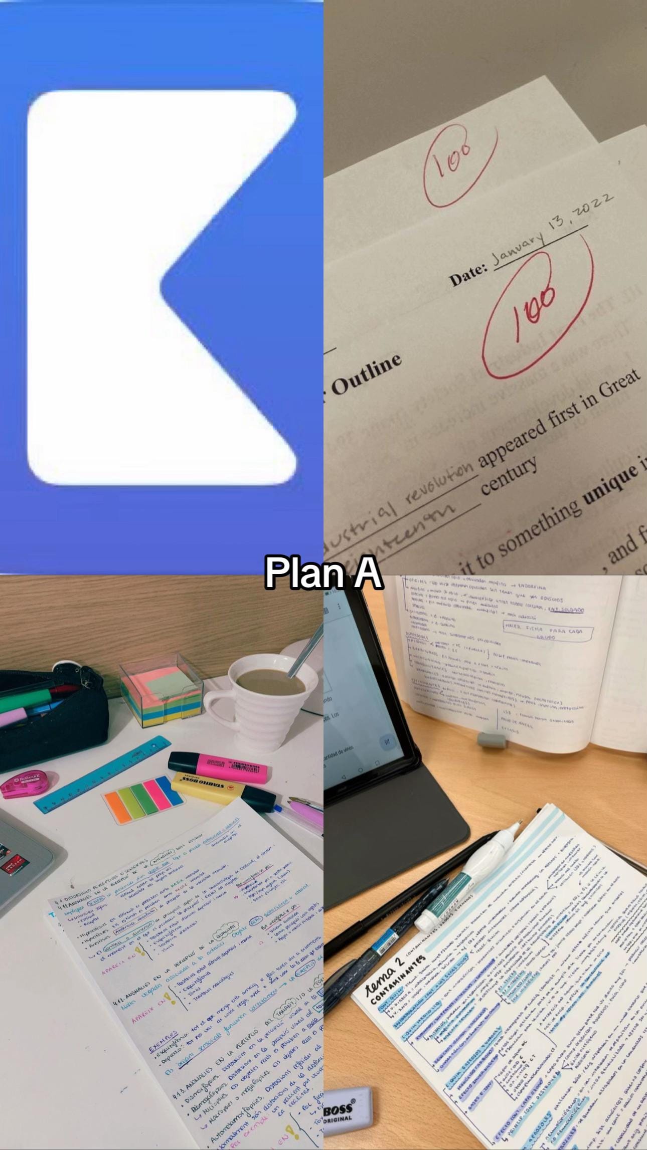 Post 5 by 🎀🍸 on TikTok (video)