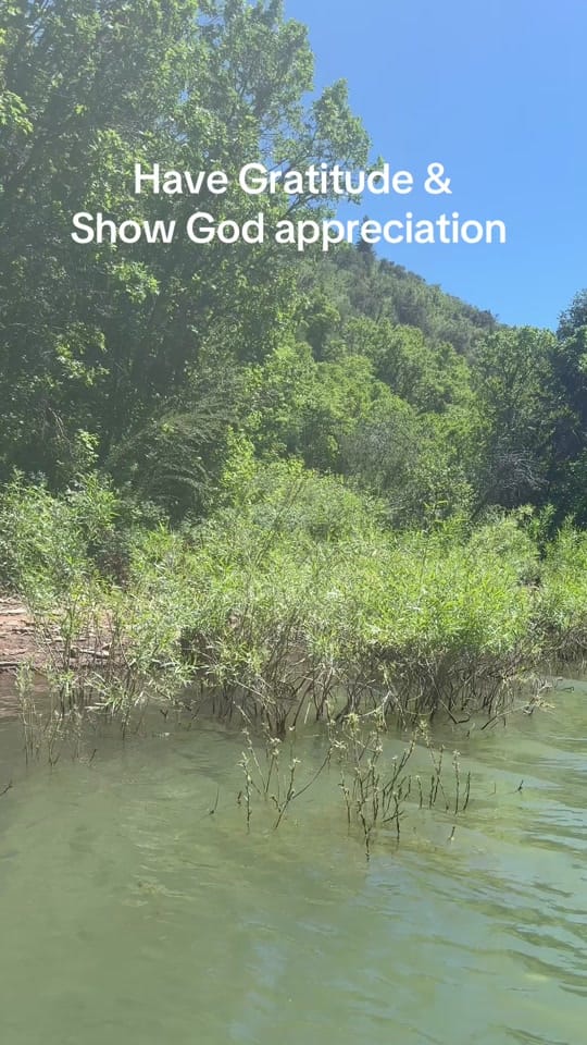 Post 4 by cstull13 on TikTok (video)