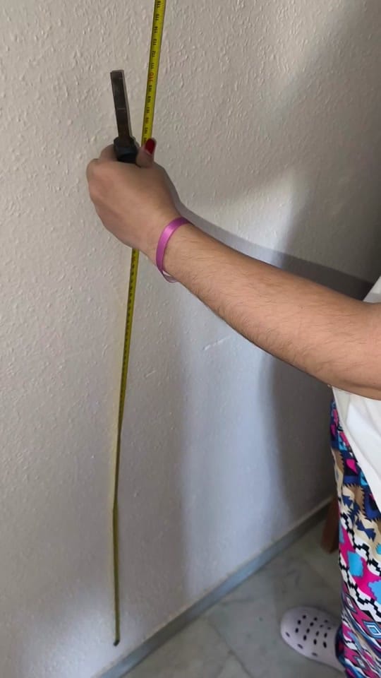 Post 3 by cristisevilla.oficial on TikTok (video)