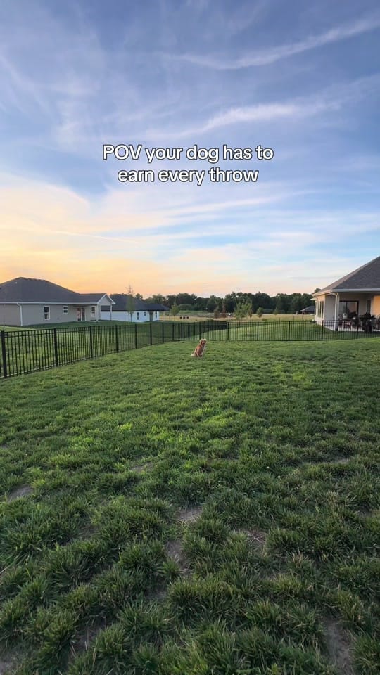 Post 4 by Tate & Ellie + Kamie on TikTok (video)