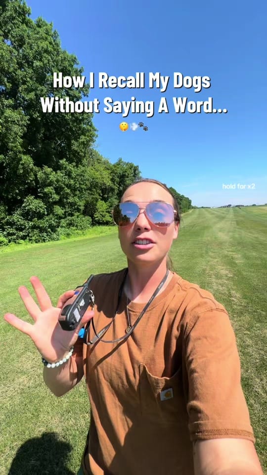Post 3 by Tate & Ellie + Kamie on TikTok (video)