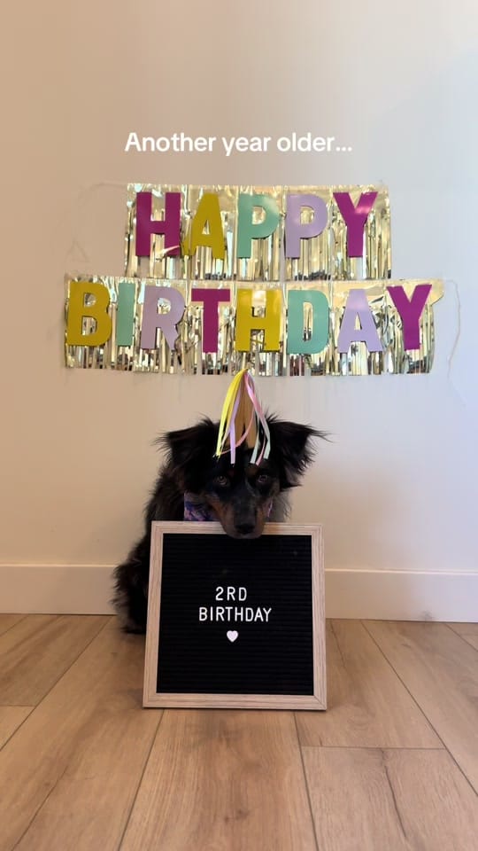 Post 5 by Tate & Ellie + Kamie on TikTok (video)