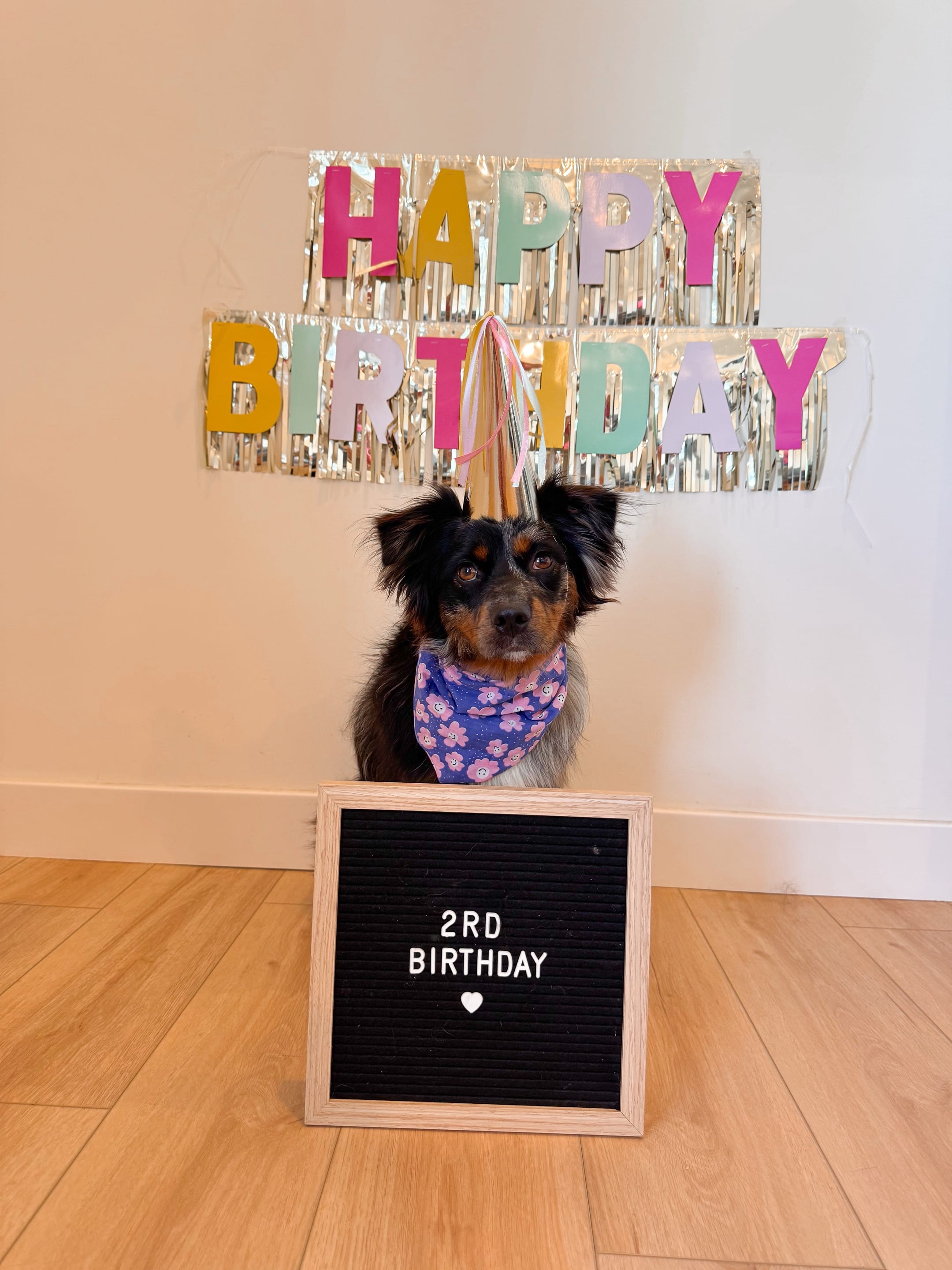 Post 6 by Tate & Ellie + Kamie on TikTok (video)