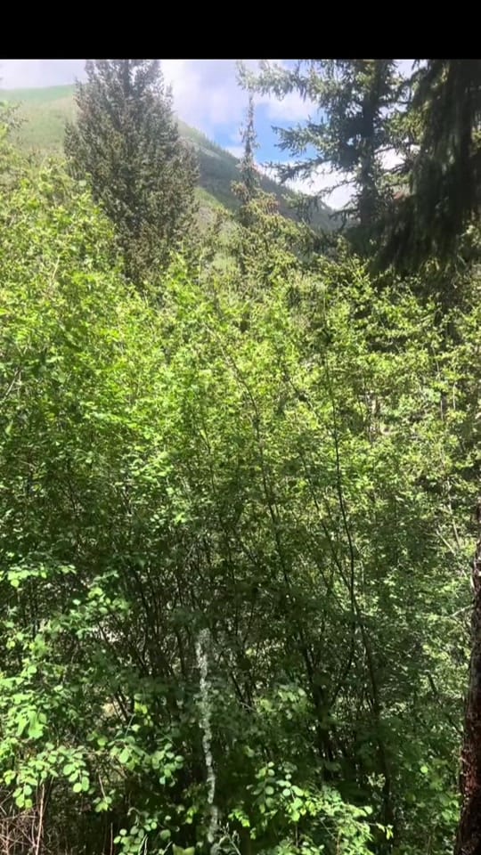 Post 7 by .Guadian. on TikTok (video)