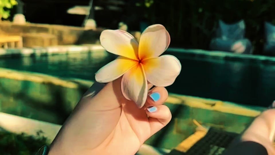 Post 1 by beckcheeks on TikTok (video)