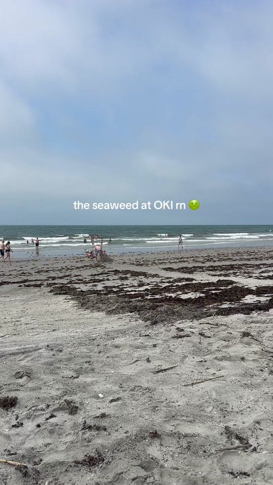 Post 2 by beckcheeks on TikTok (video)