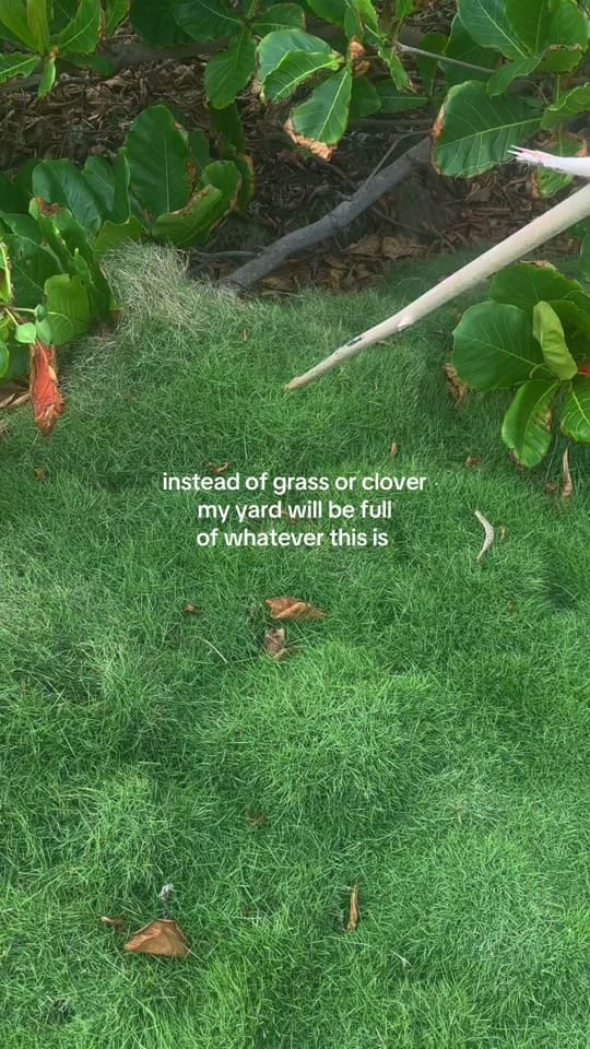 Post 8 by beckcheeks on TikTok (video)