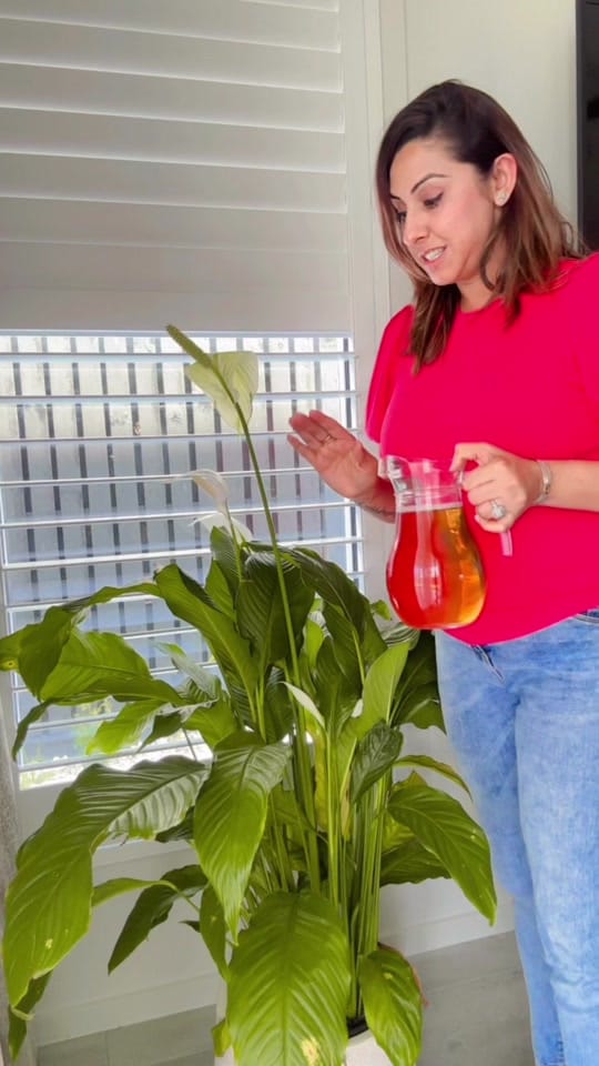 Post 8 by Gurleen Kaur on TikTok (video)