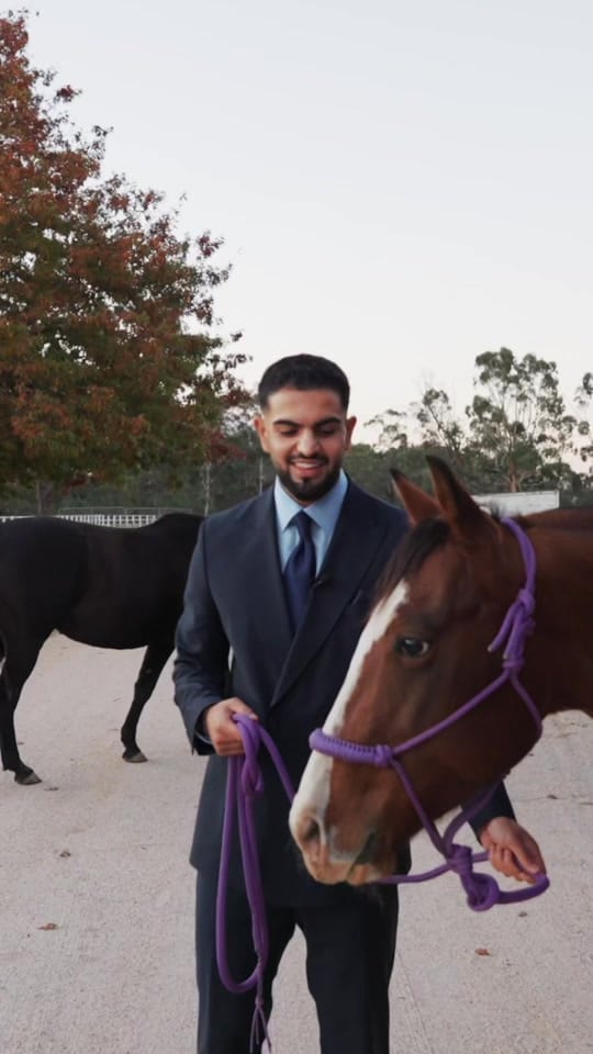 Post 4 by Elly Amiri on TikTok (video)