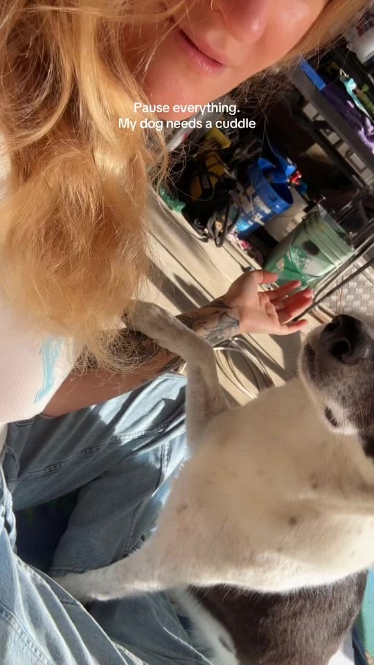 Post 6 by keels on TikTok (video)