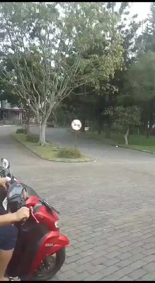 Post 8 by SEWA VILLA PUNCAK on TikTok (video)