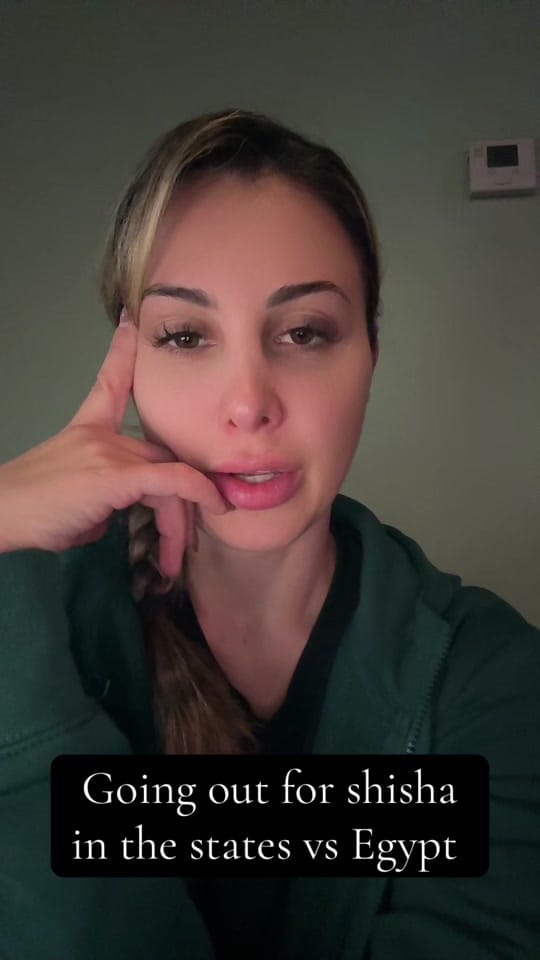 Post 5 by Heidi Alagha on TikTok (video)