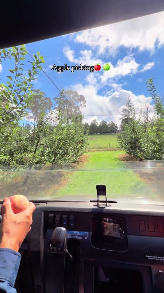 Post 9 by Mrs Greenlees on TikTok (video)
