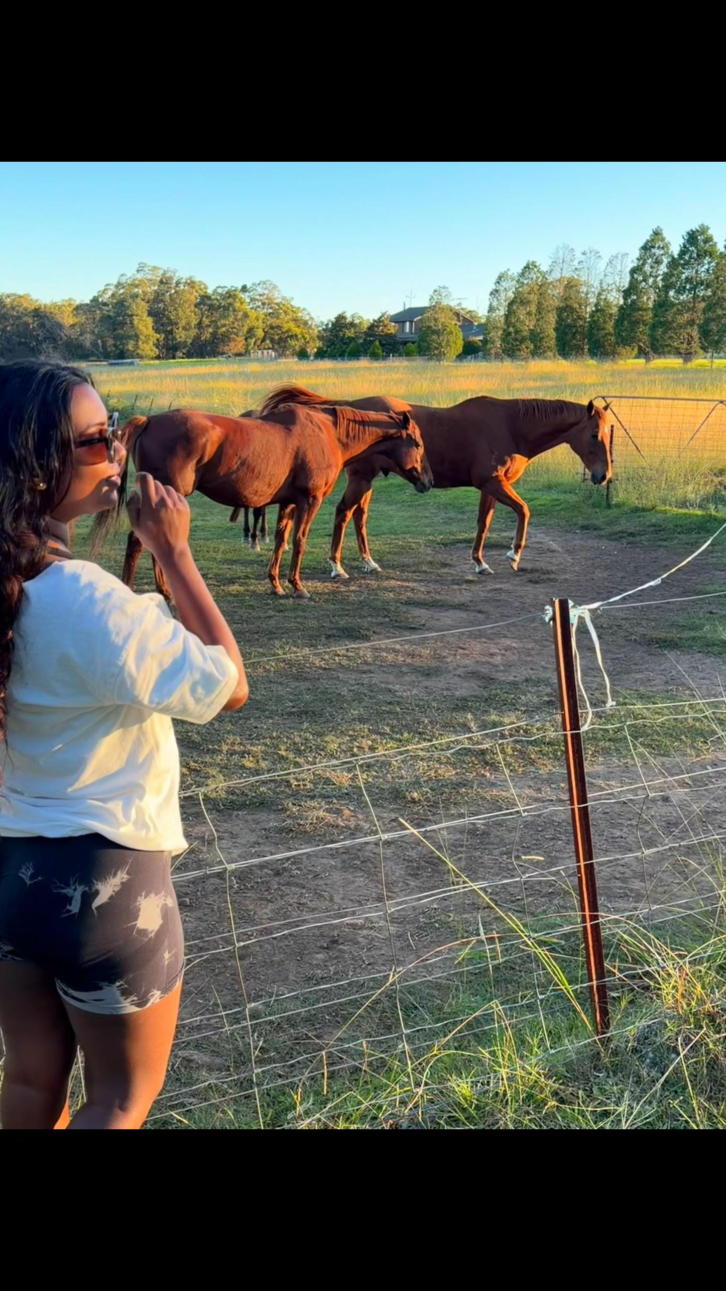 Post 3 by Mrs Greenlees on TikTok (video)