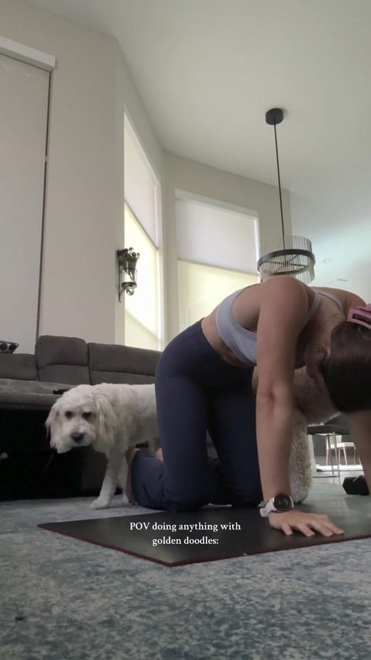 Post 5 by Sydney Weinstein | BSN Student on TikTok (video)