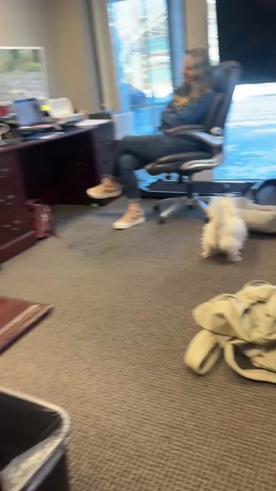 Post 5 by K.C.’s  Favorite Realtor on TikTok (video)