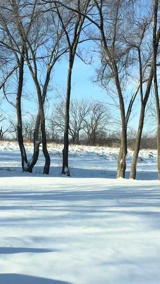 Post 2 by K.C.’s  Favorite Realtor on TikTok (video)