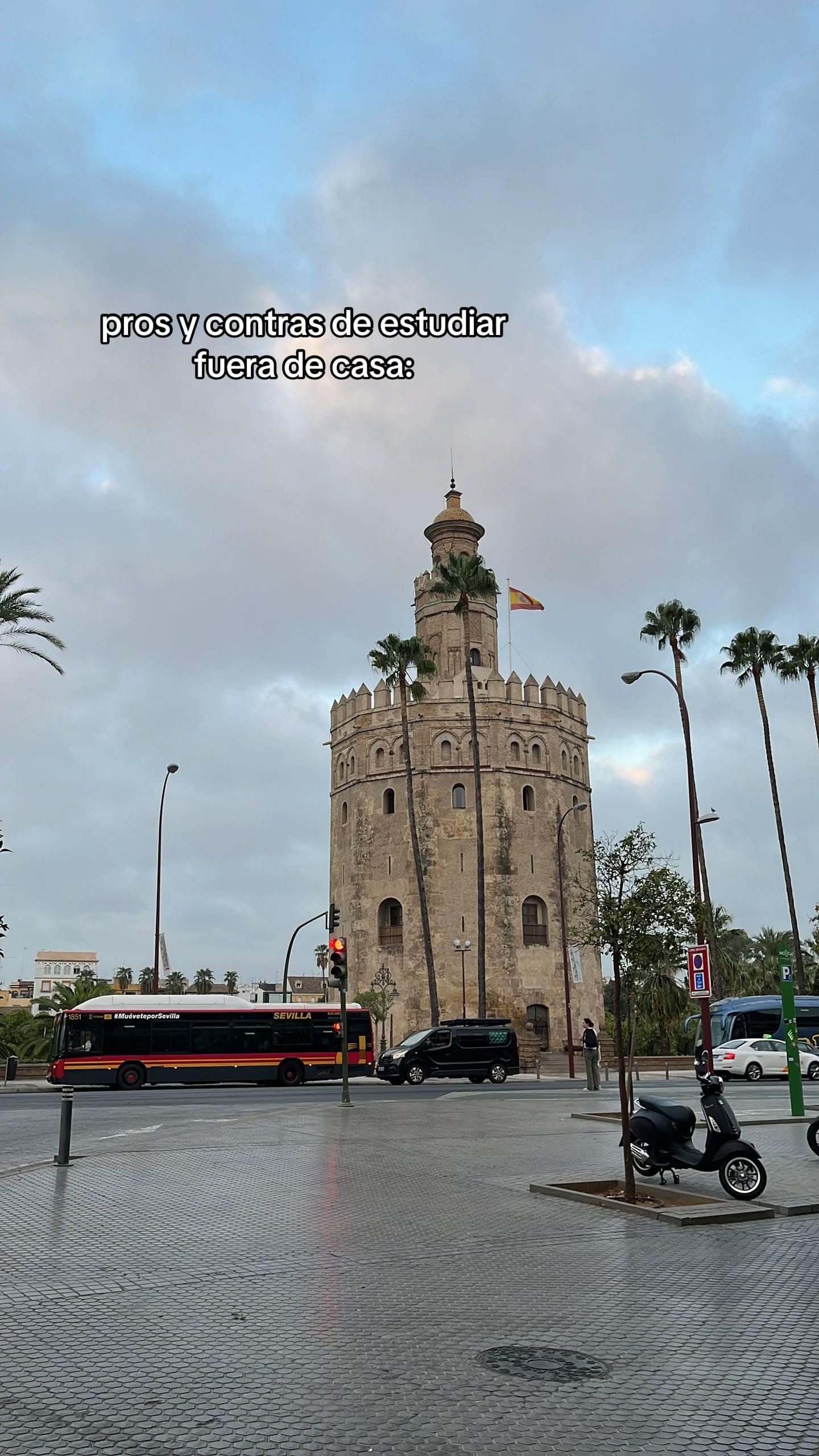 Post 8 by pilarios🦂 on TikTok (video)