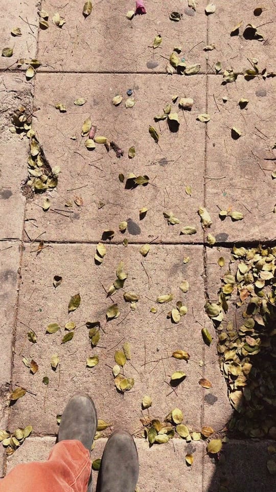 Post 4 by re_ grocery on TikTok (video)