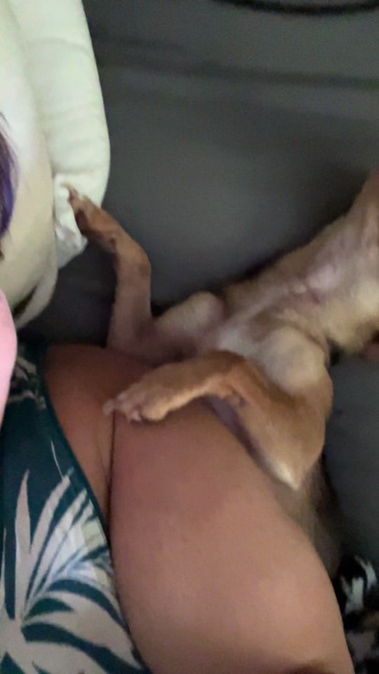 Post 3 by Themimi75 on TikTok (video)