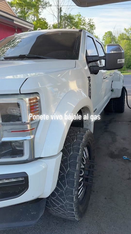Post 4 by OSWOLF🦺 on TikTok (video)