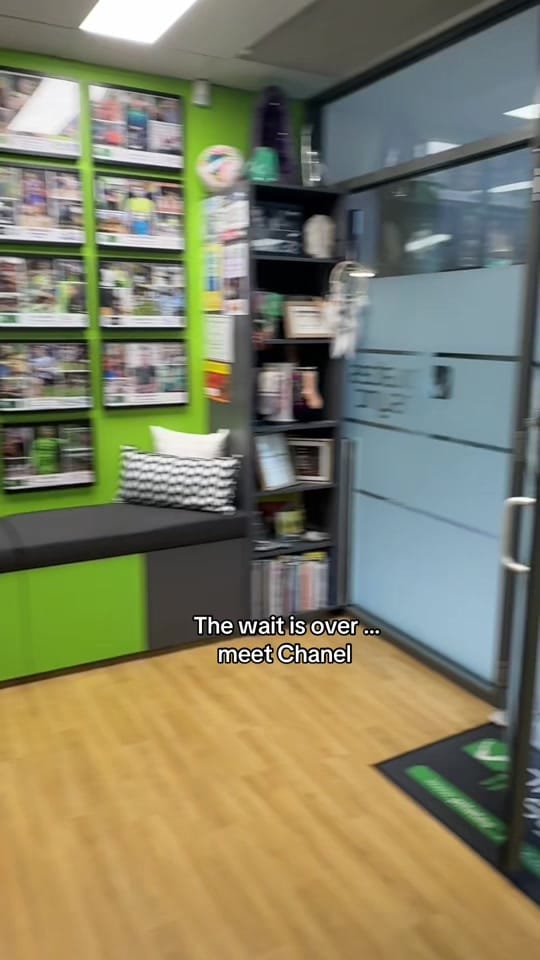 Post 6 by Helen Stamatakos on TikTok (video)