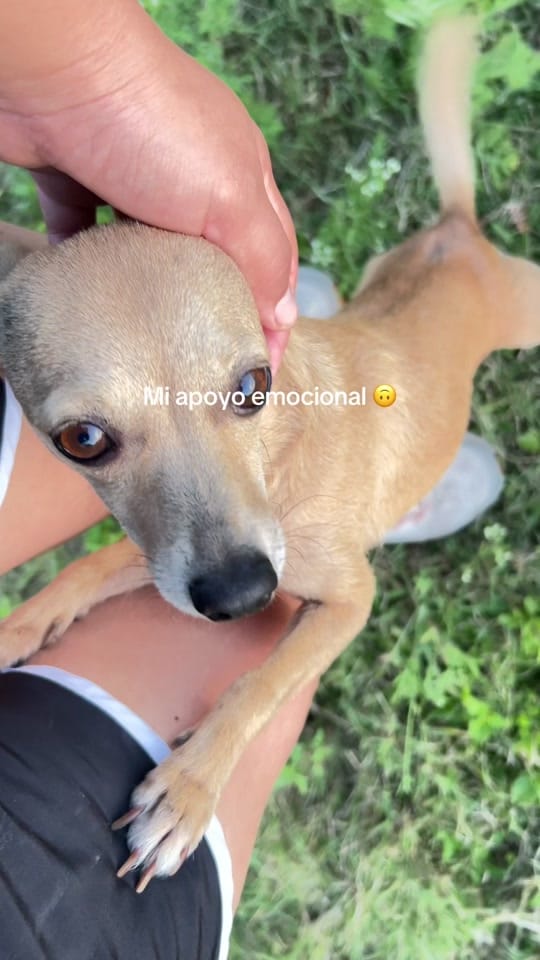 Post 2 by Lucy on TikTok (video)