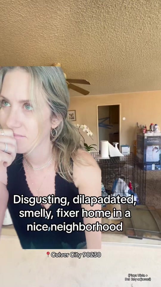 Post 7 by Pamela Hakakian, LA Realtor on TikTok (video)