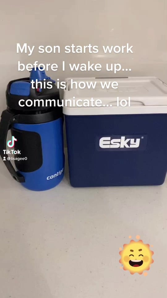 Post 3 by Lisa Gee on TikTok (video)