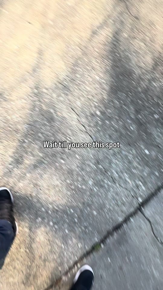 Post 8 by Sam Nasralla on TikTok (video)