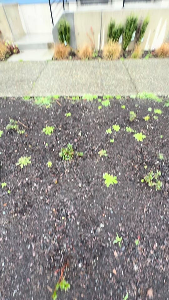 Post 3 by Sam Nasralla on TikTok (video)