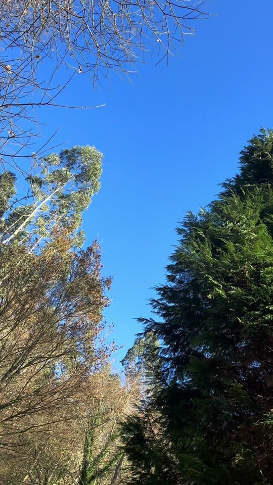 Post 5 by BackHome_SimplyRealEstate on TikTok (video)