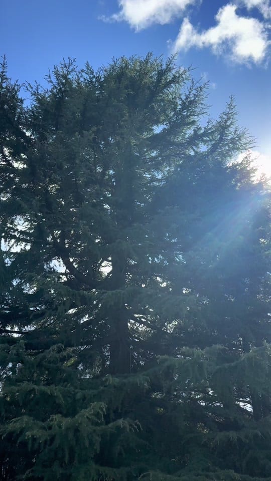 Post 2 by BackHome_SimplyRealEstate on TikTok (video)