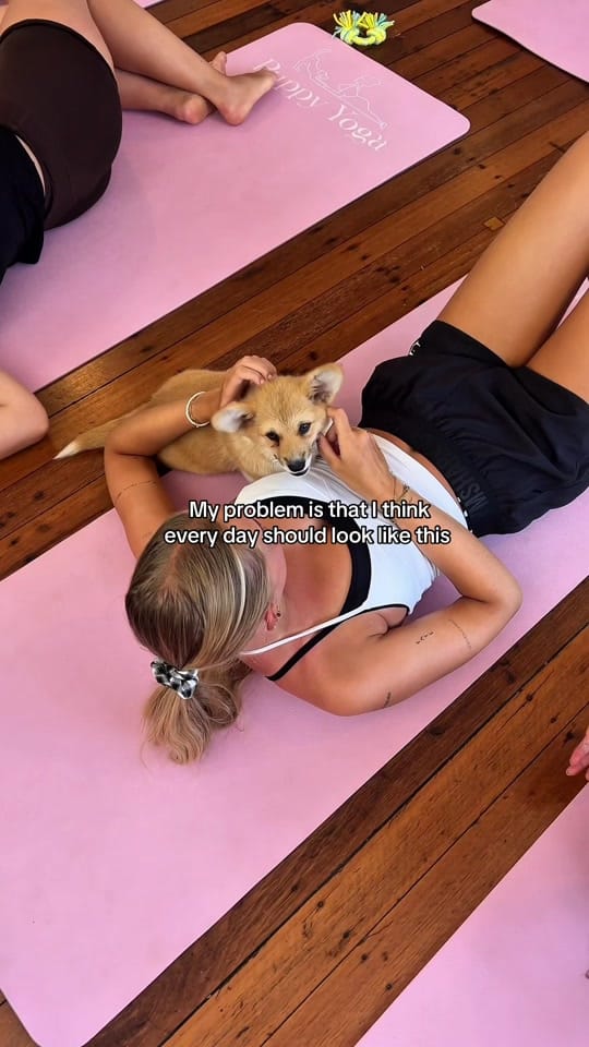 Post 2 by Puppy Yoga Australia on TikTok (video)