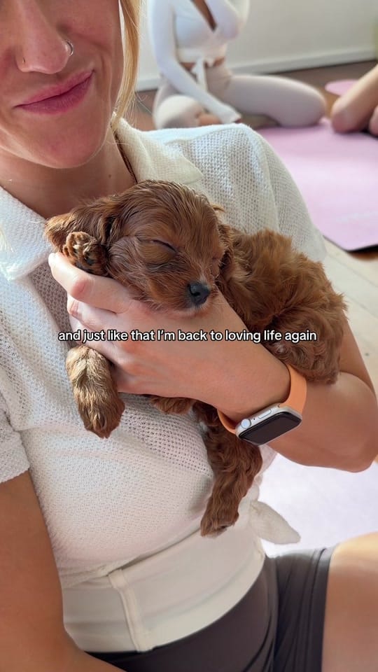 Post 10 by Puppy Yoga Australia on TikTok (video)