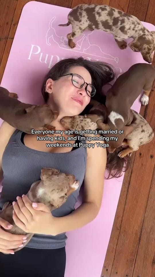 Post 3 by Puppy Yoga Australia on TikTok (video)