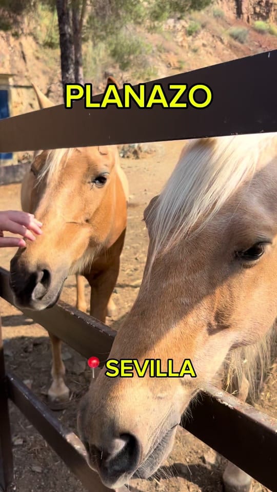 Post 6 by debuencomer on TikTok (video)