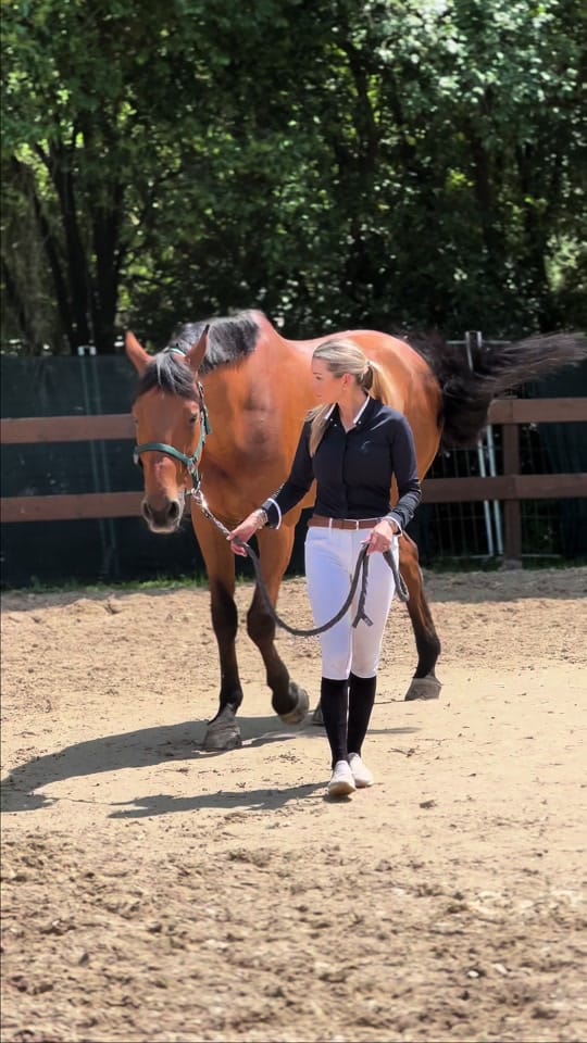 Post 7 by Edwina Tops-Alexander on TikTok (video)