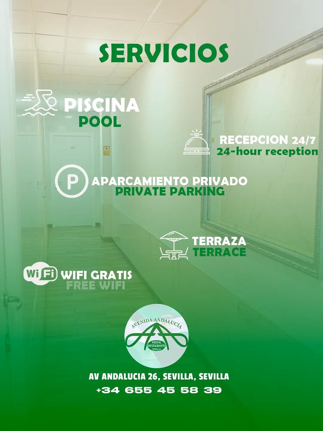 Post 5 by Hostal Avenida Andalucía on TikTok (video)