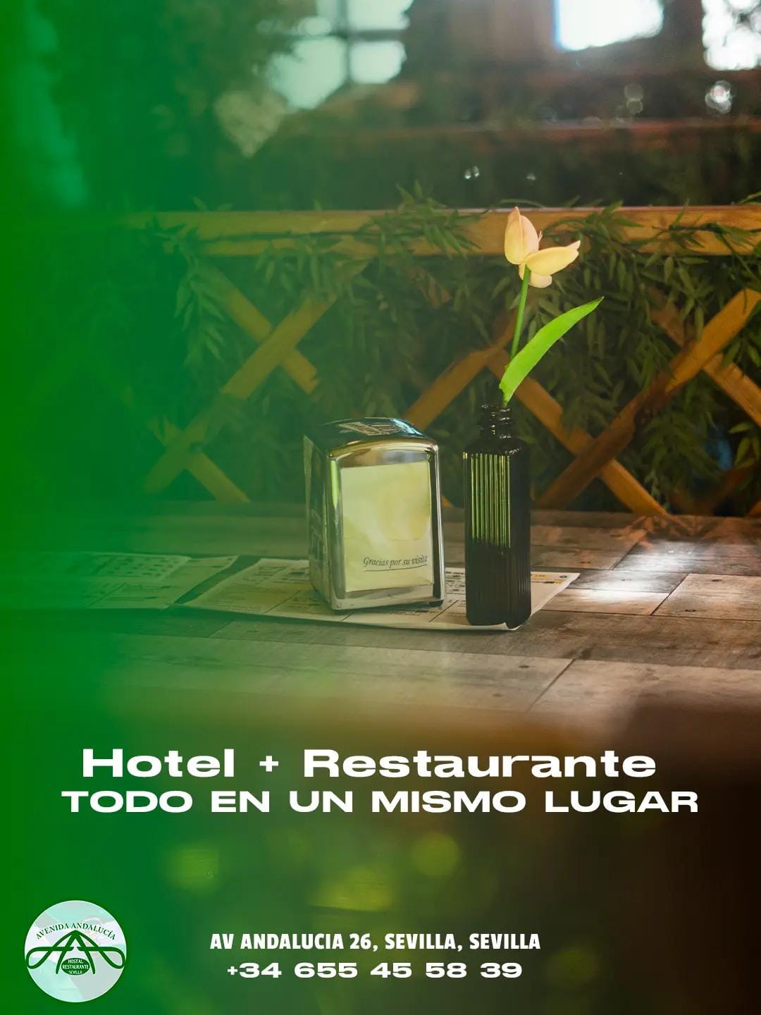 Post 4 by Hostal Avenida Andalucía on TikTok (video)