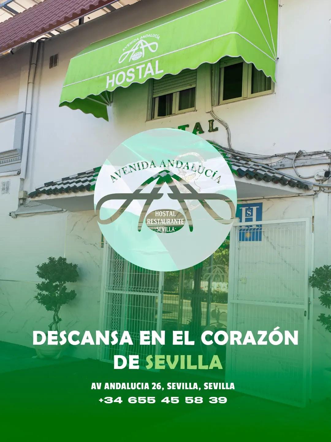 Post 6 by Hostal Avenida Andalucía on TikTok (video)