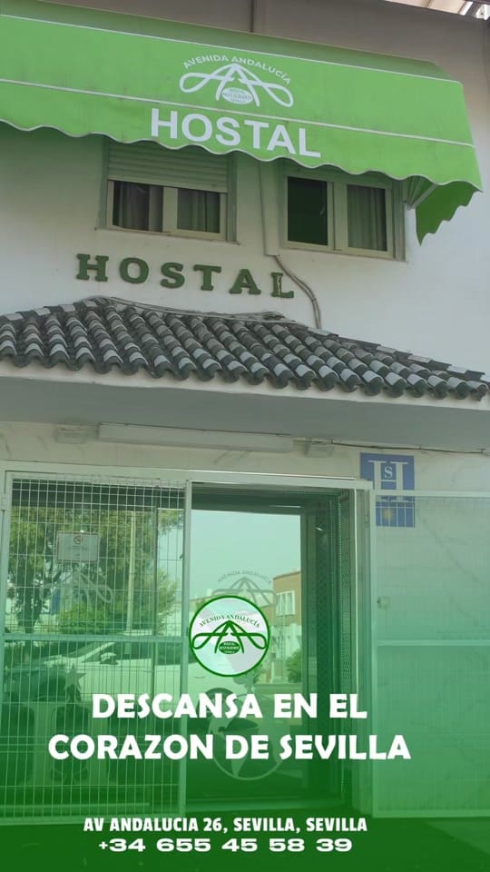Post 7 by Hostal Avenida Andalucía on TikTok (video)