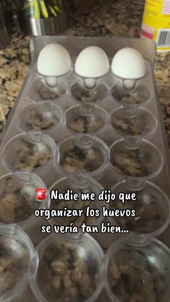 Post 1 by Aidairis_vlog on TikTok (video)