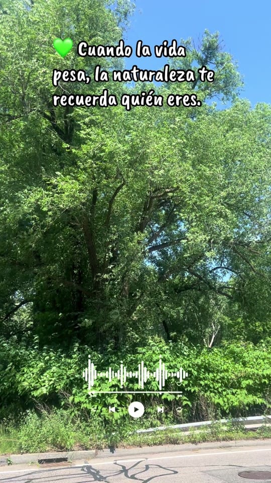 Post 3 by Aidairis_vlog on TikTok (video)