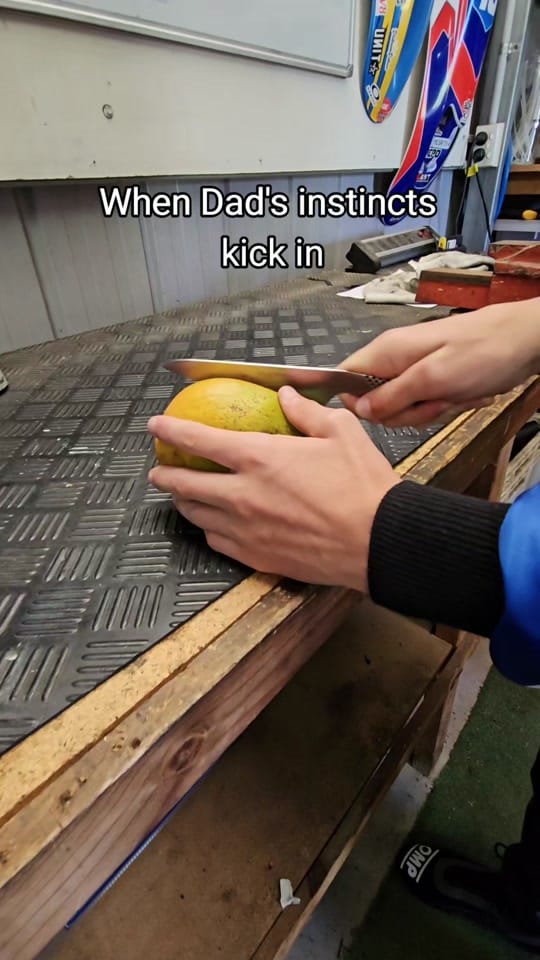 Post 5 by Mathew Basso on TikTok (video)