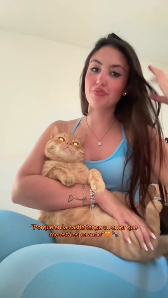 Post 7 by Luu ✨🌸 on TikTok (video)