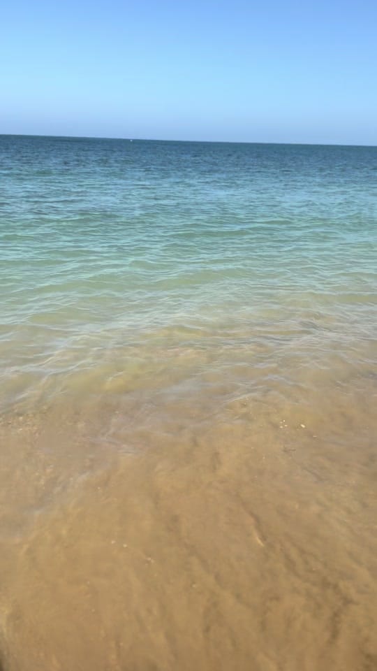 Post 5 by Alicia Mármol on TikTok (video)