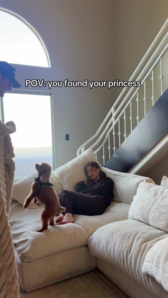 Post 1 by Ryan Trainor on TikTok (video)